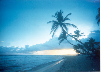 Why Aruba Should be Your Next Vacation Destination