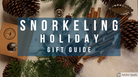 Snorkeling Holiday Gift Guide