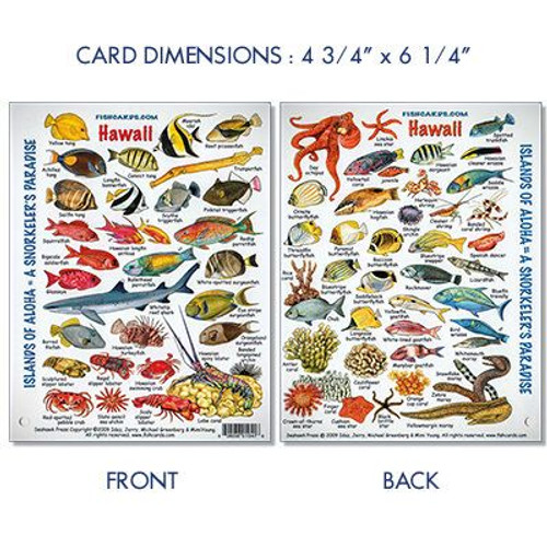 Waterproof Mini Guide