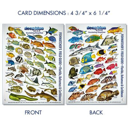 Waterproof Mini Guide